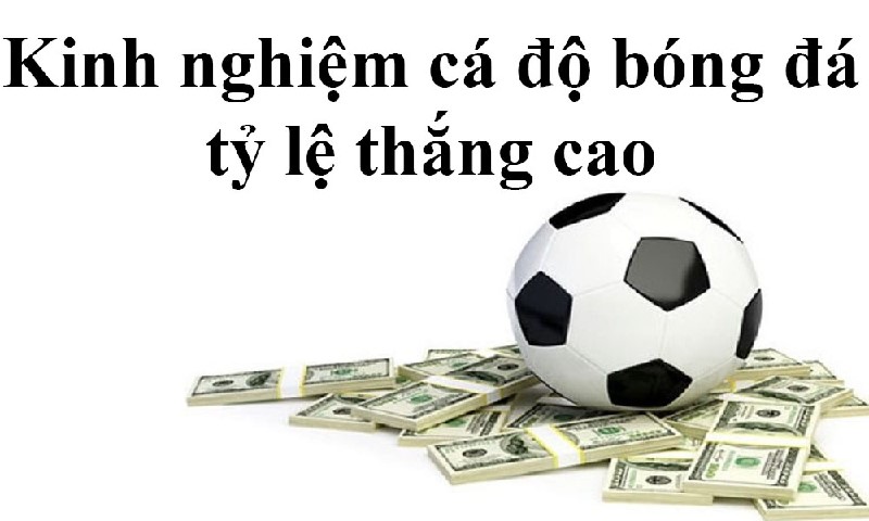 L&agrave;m thế n&agrave;o để thắng c&aacute; độ b&oacute;ng đ&aacute; &ndash; Soi k&egrave;o tại nhacaiuytin